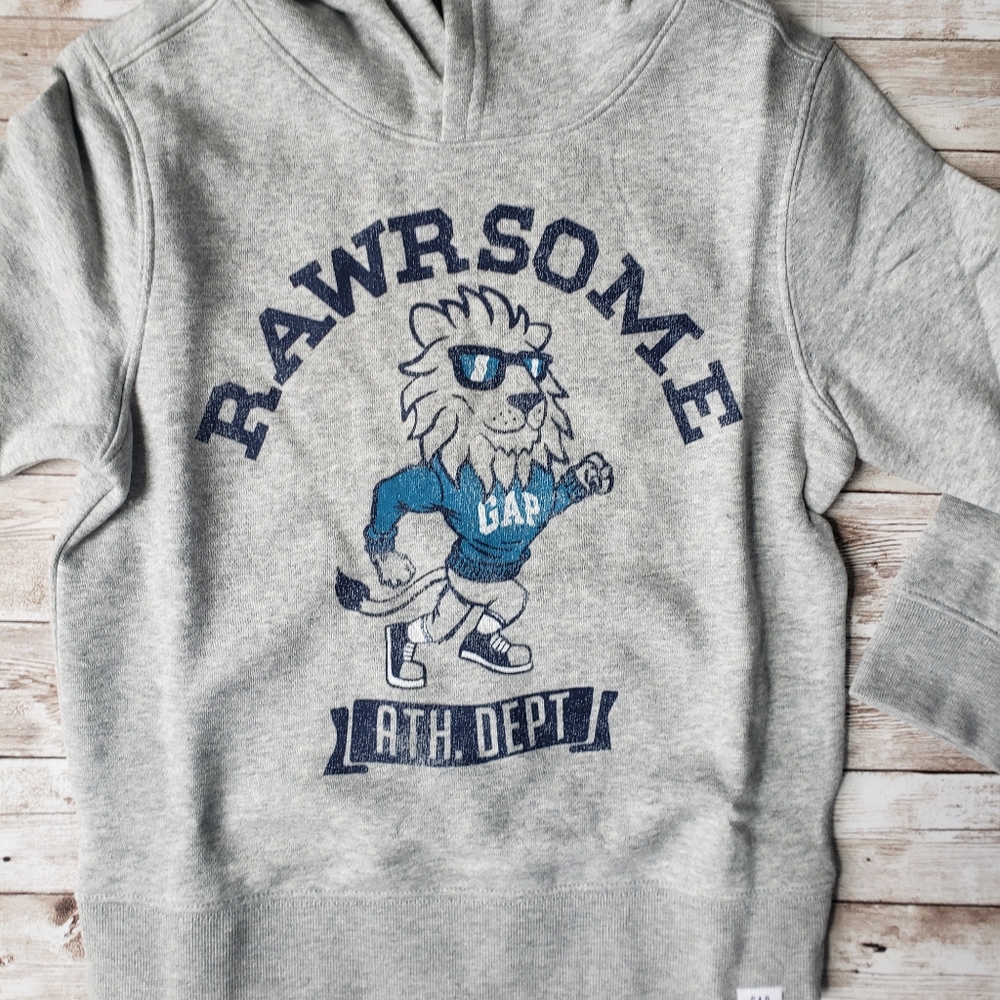 Grey Roarsome Graphic Sweatshirt Hoodie with Lion - Picture 4 of 4